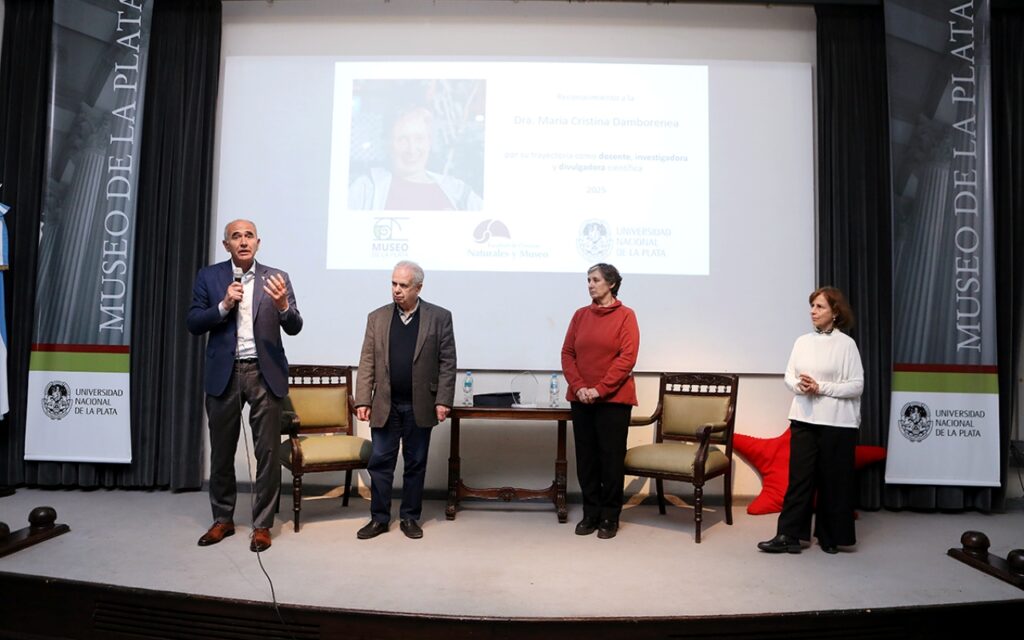 profundidades del Mar Argentino