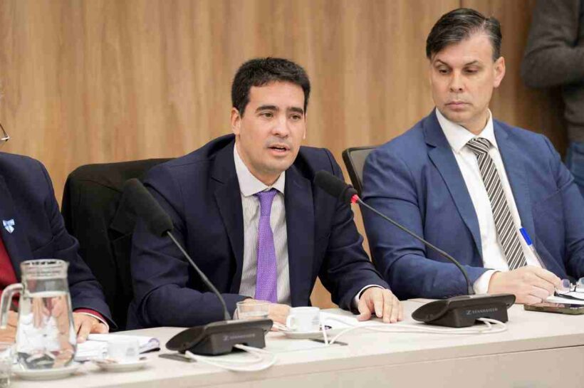 REFERENTES DE LA INDUSTRIA YERBATERA EXPUSIERON EN DIPUTADOS SOBRE LA SITUACIÓN DEL SECTOR