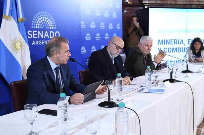 CONTINÚAN LAS REUNIONES INFORMATIVAS POR LA LEY DE BIOCOMBUSTIBLES EN EL SENADO DE LA NACIÓN