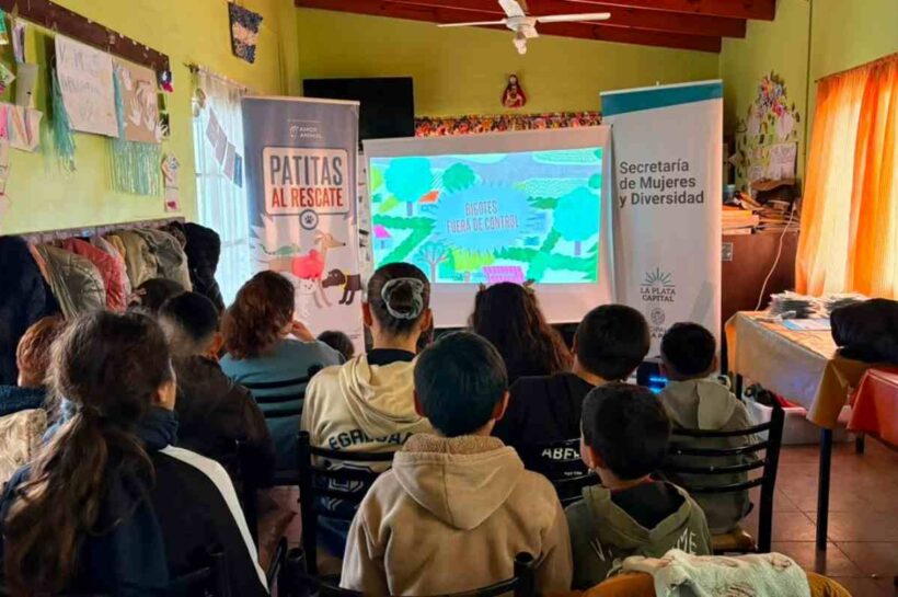 Patitas al rescate estrenó su segundo capítulo con un mensaje sobre la castración responsable
